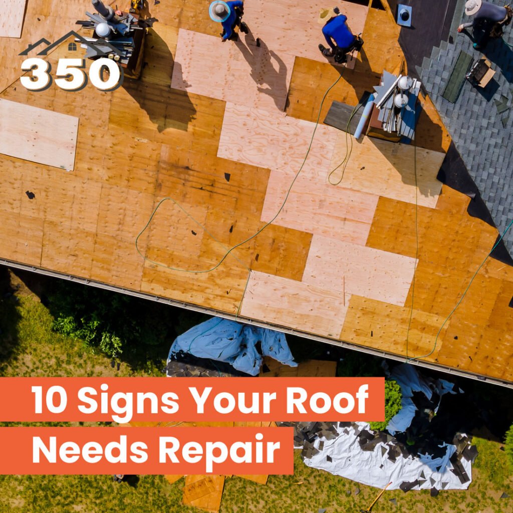 Roof Repair in Palm Beach